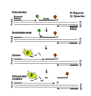 28圈(中国游)官网注册 -APP下载